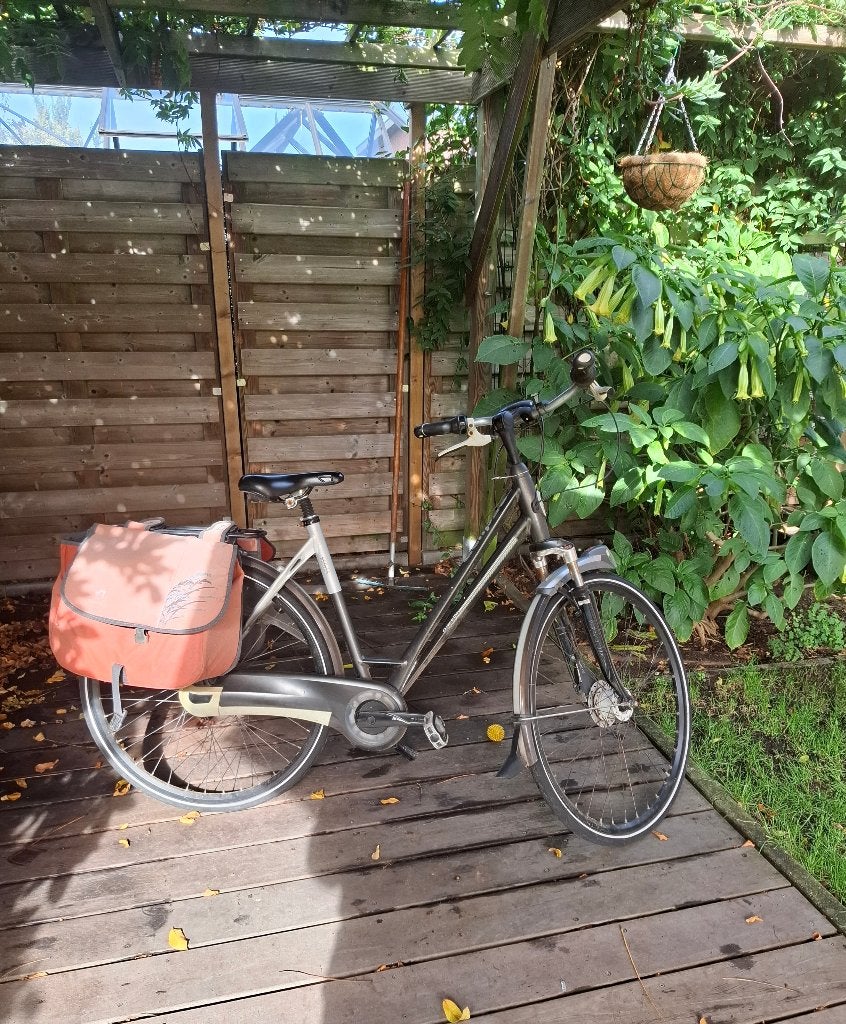 Gazelle damesfiets, Fietsen en Brommers, Ophalen, Gebruikt, Versnellingen, 56 cm of meer