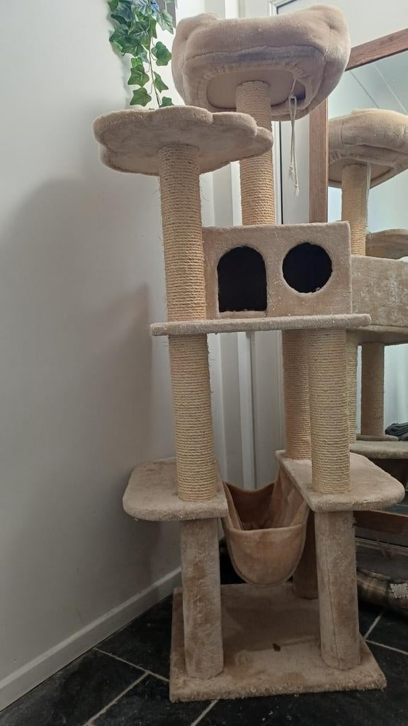 Krabpaal, Enlèvement, Griffoir