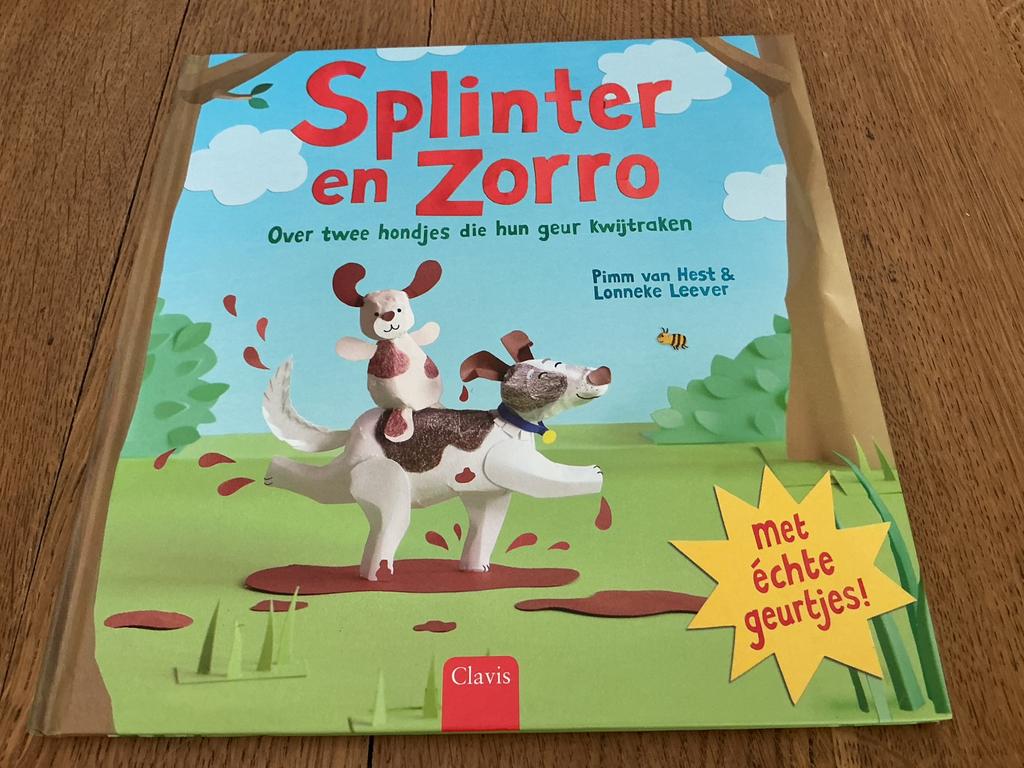 Pimm van Hest - Splinter en Zorro, Boeken, Ophalen, Pimm van Hest