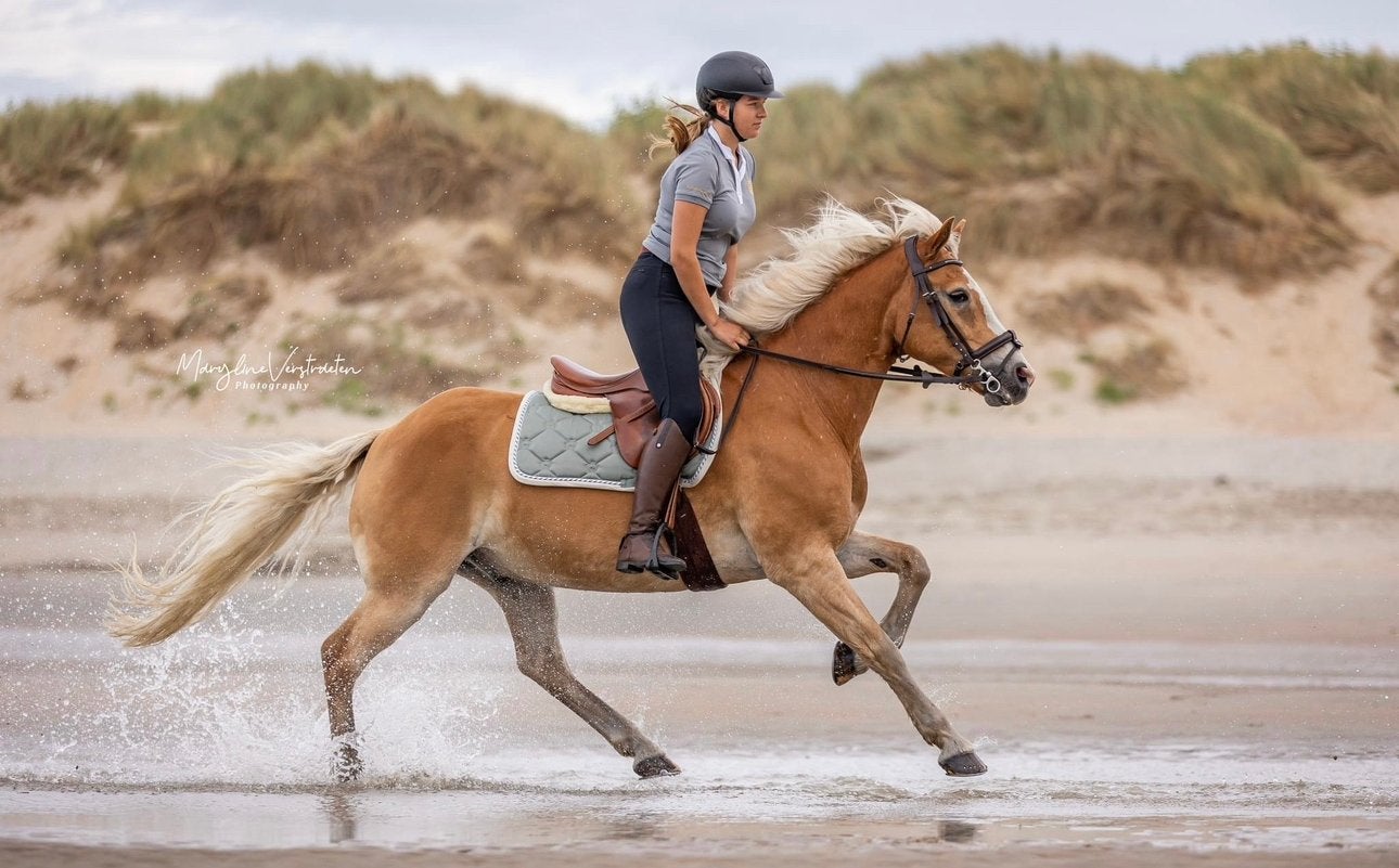 Verzorgpaard aangeboden, Dieren en Toebehoren, Ruin, E pony (1.48m - 1.57m), Recreatiepony, 11 jaar of ouder