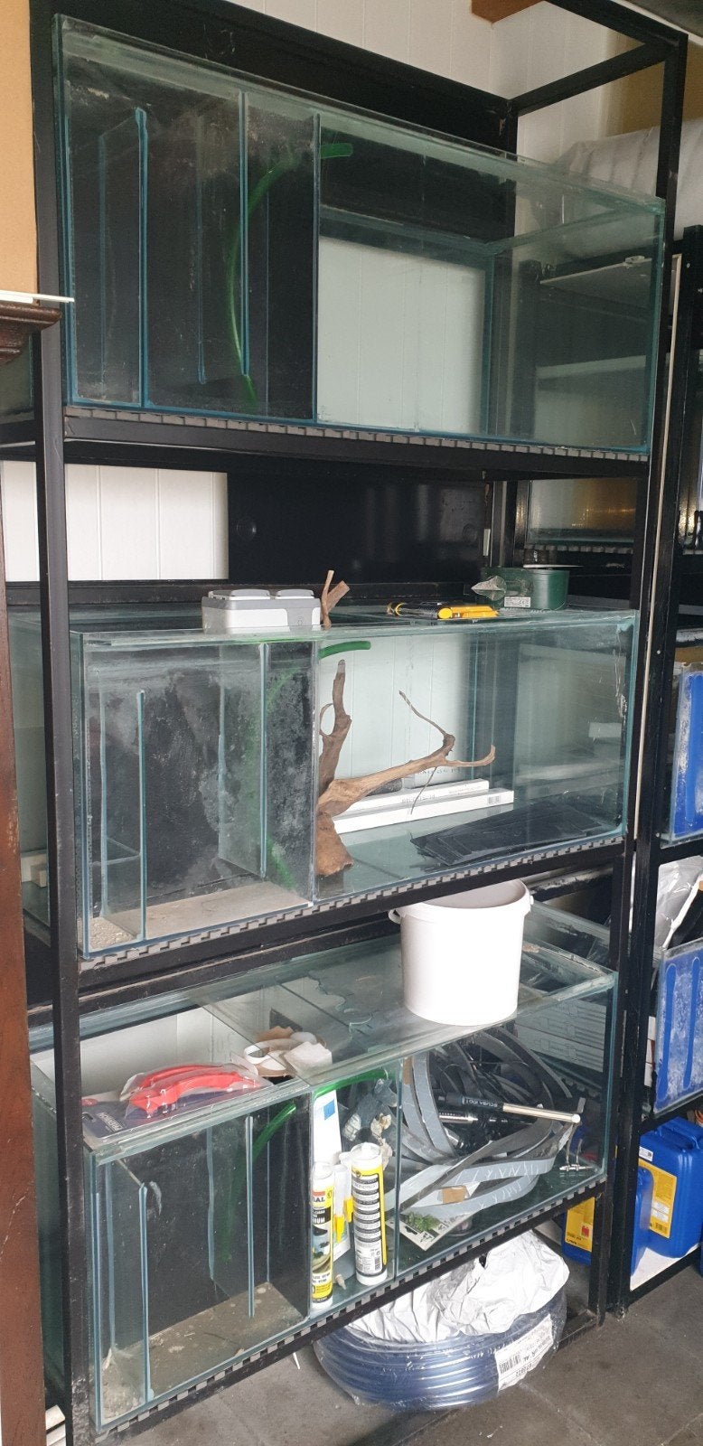 rack de 3 aquariums, Animaux & Accessoires, Enlèvement, Utilisé, Autres types