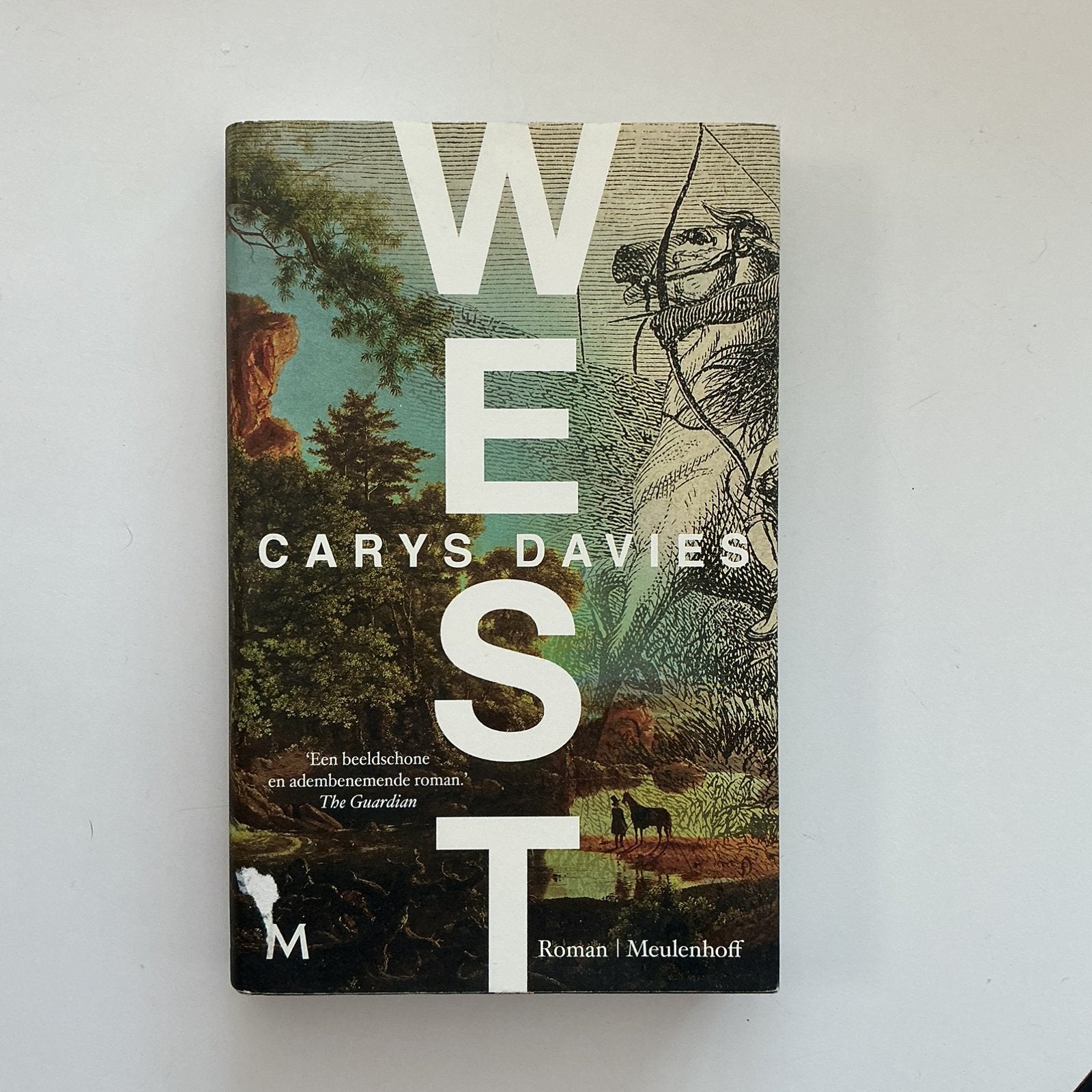 Carys Davies - West, Ophalen of Verzenden, Carys Davies