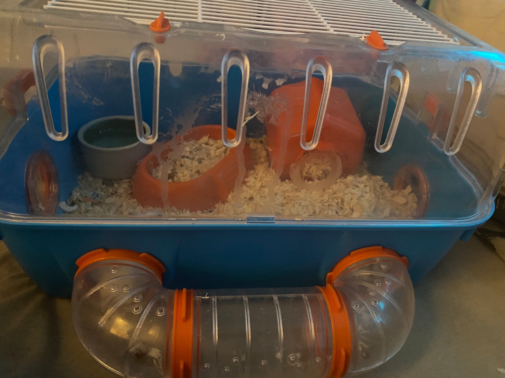 Hamster te koop met kooi, Animaux & Accessoires, Rongeurs & Lapins | Cages & Clapiers, Enlèvement, Comme neuf, Hamster