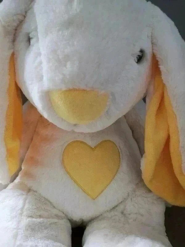 Knuffel konijn, Overige merken, Overige karakters, Ophalen of Verzenden, Middelgroot (20 tot 80 cm)