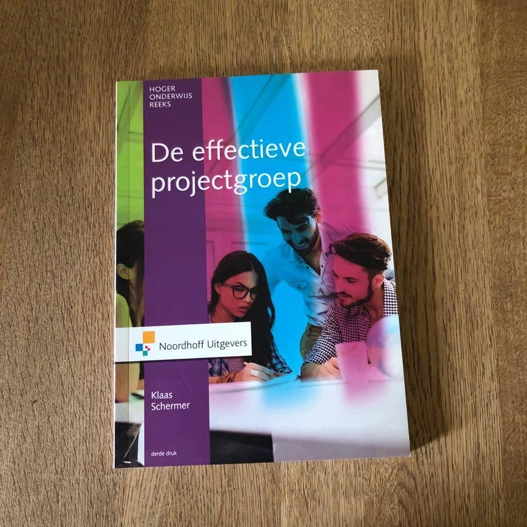 boek effectieve projectgroep, Boeken, Ophalen of Verzenden, Zo goed als nieuw, Economie en Marketing