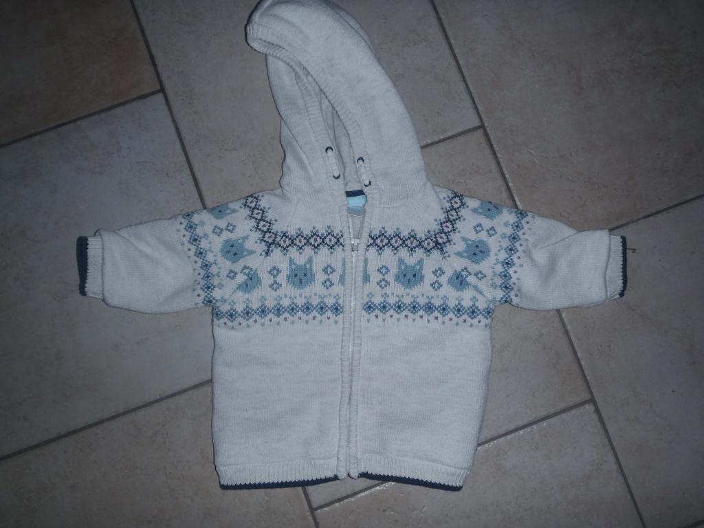 vest + capuchon maat 68, Ophalen of Verzenden, Zo goed als nieuw, Jongetje of Meisje, Truitje of Vestje