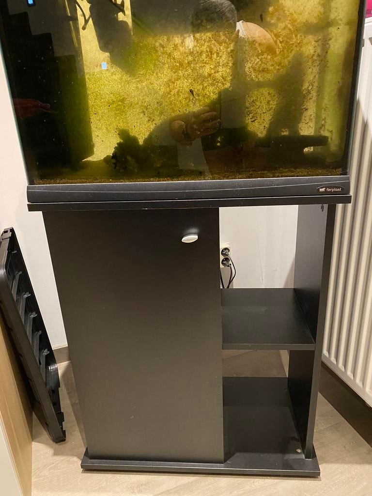Cayman aquarium+meubel, Pompe, Enlèvement, Utilisé, Autres marques