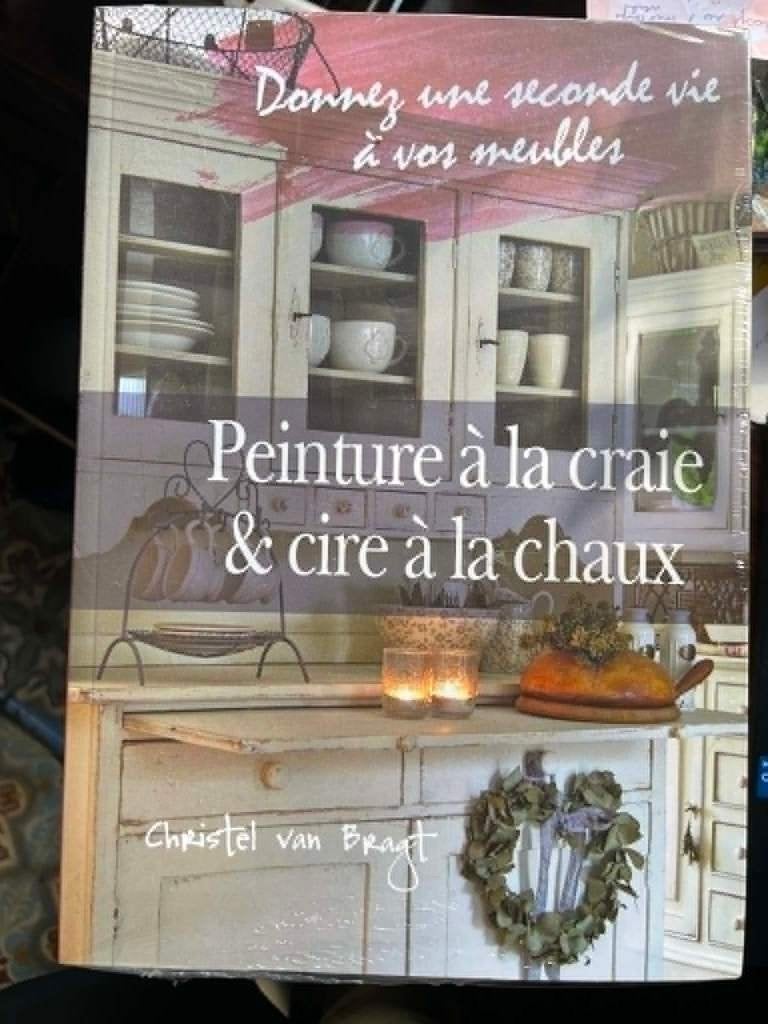 livre peinture à la craie de Christel van Bragt, Livres, Envoi, Neuf, Christel van bragt