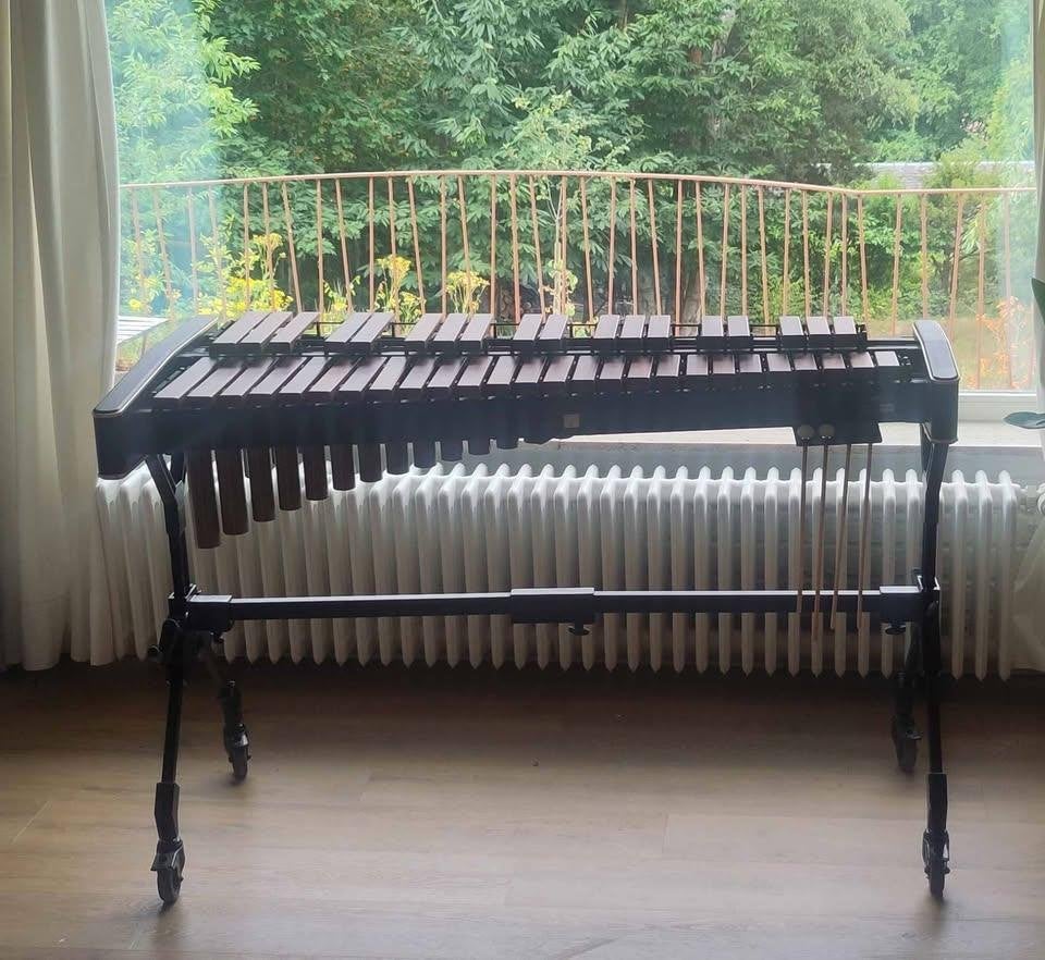 Adams Solist XS2LV35 – Xylophone professionnel 3,5 octaves, Musique & Instruments, Percussions, Comme neuf, Percussion mélodique