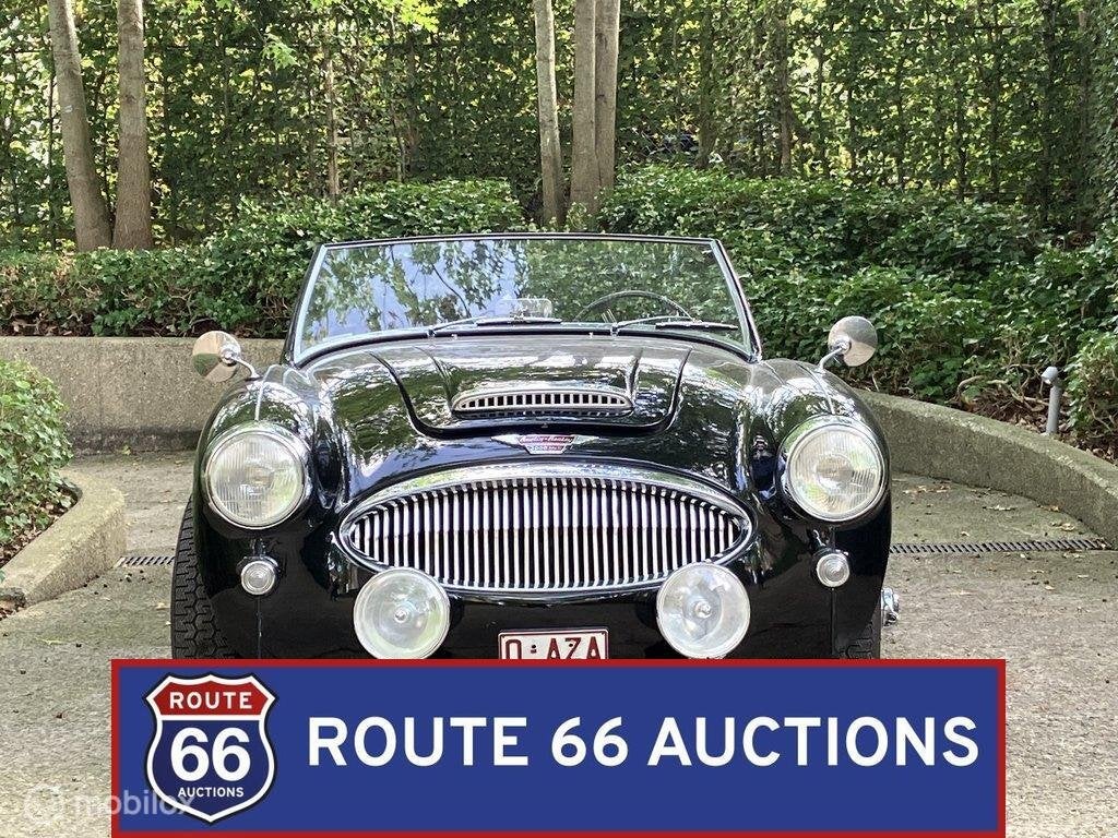 Austin-Healey 3000 Mark II BT7 | 1962 | Route 66 Auctions, Autos, Entreprise, Boîte manuelle, Autre carrosserie, Essence