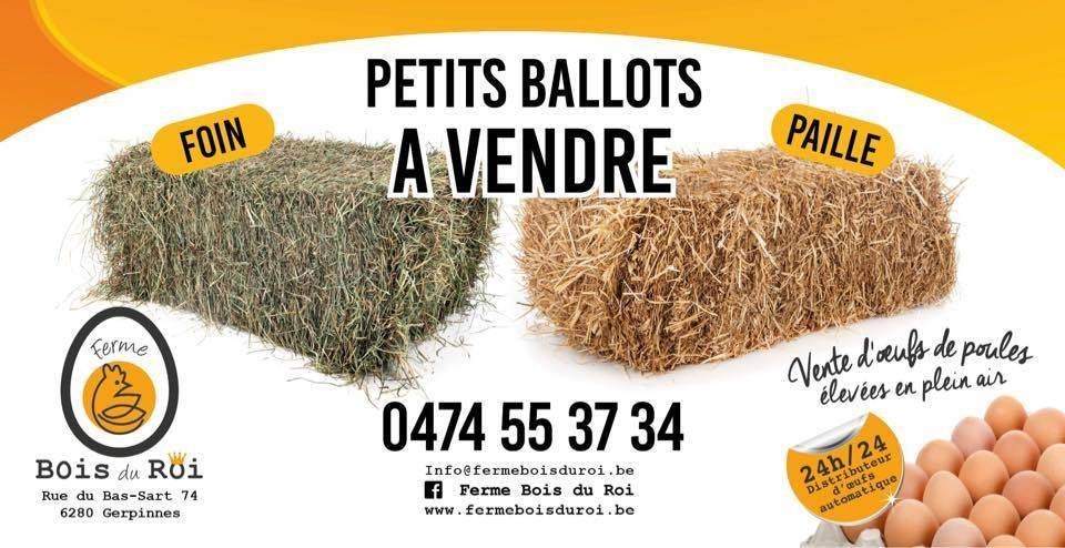 Petits ballots foin / paille, Enlèvement, Bétail