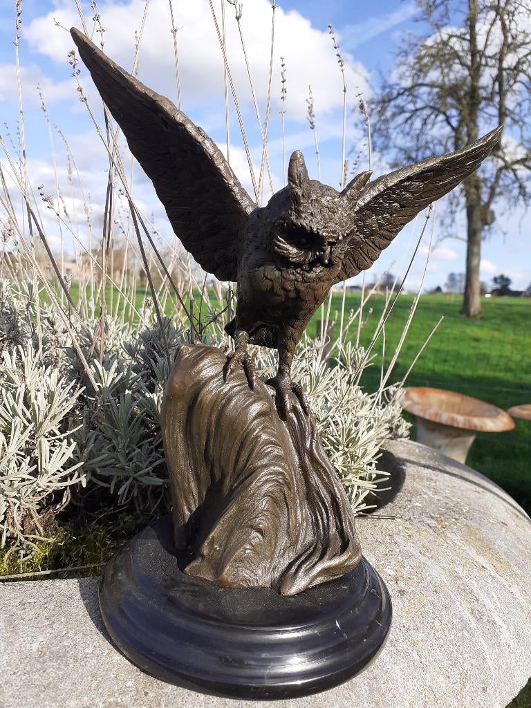 BRONZEN UIL GESIGNEERD OP EEN BASIS (de vlucht)., Antiek en Kunst, Ophalen of Verzenden, Brons