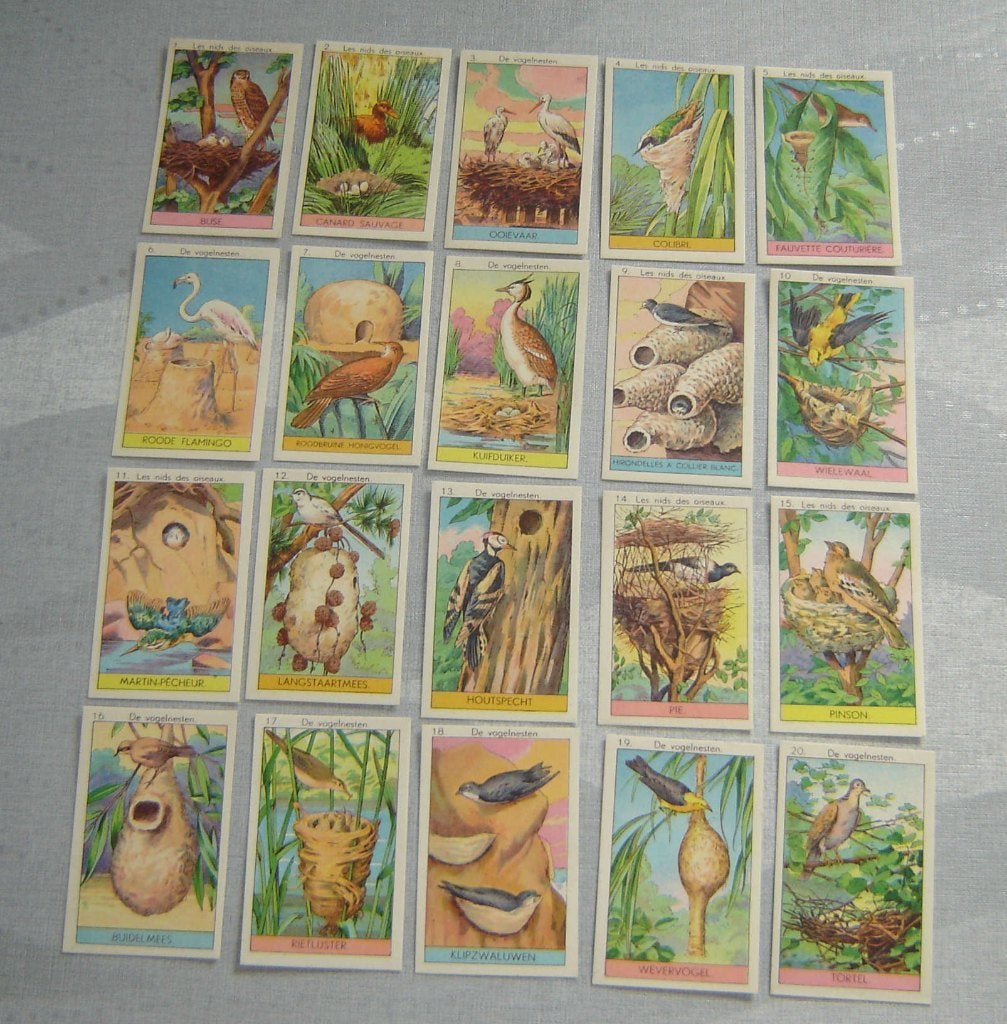 Chromos DE BIE Poperinghe Vogelnesten 20st, Verzamelen, Foto's en Prenten, Gebruikt, Verzenden, Voor 1940, Prent