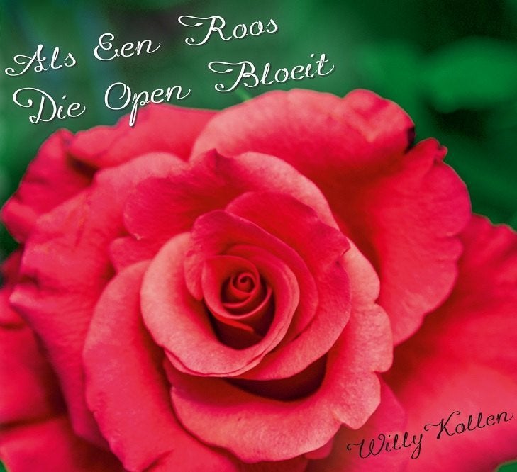 VENTE - CD WILLY KOLLEN - comme une rose qui fleurit, CD & DVD, CD | Religion & Gospel, Gospel, Envoi