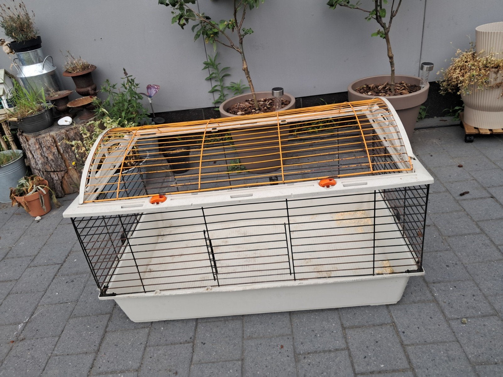 Gratis konijnhok kooi cavia kuikens, Enlèvement ou Envoi, Cage, Cobaye