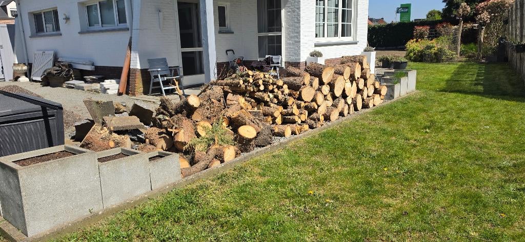 Hout, Tuin en Terras, Brandhout, Stammen, Overige houtsoorten, 3 tot 6 m³, Ophalen
