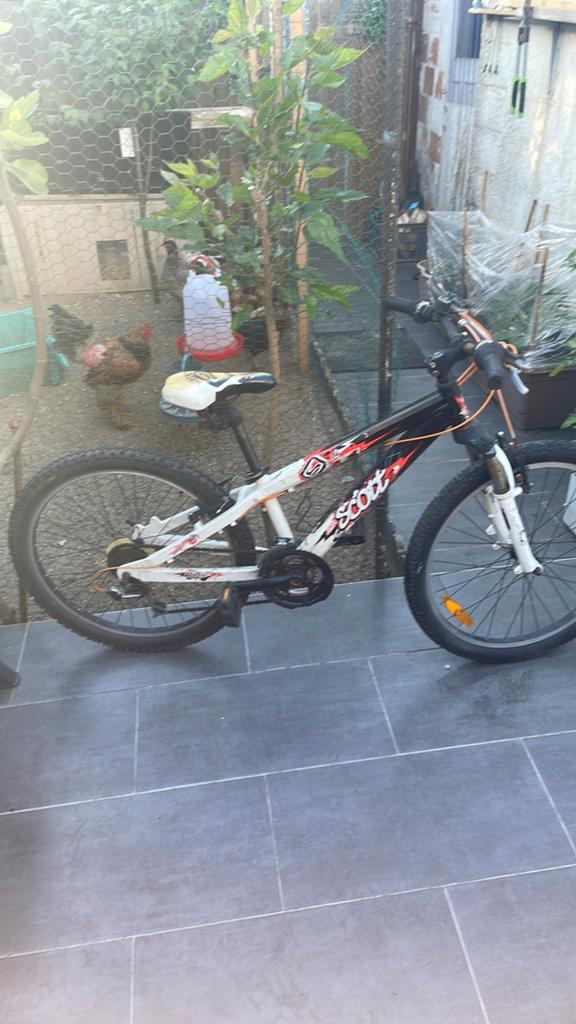 Vélo pour enfants, Ophalen, Staal, Velgrem, 20 tot 24 inch