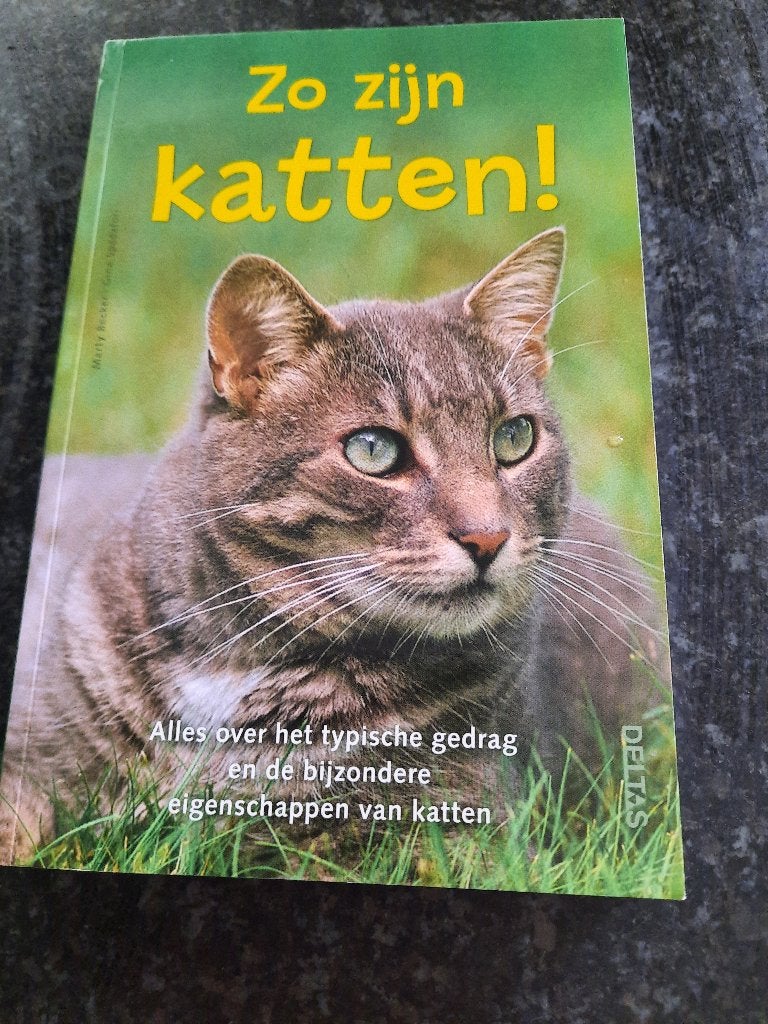 Livre « C'est à ça que ressemblent les chats ! », Livres, Enlèvement ou Envoi, Comme neuf
