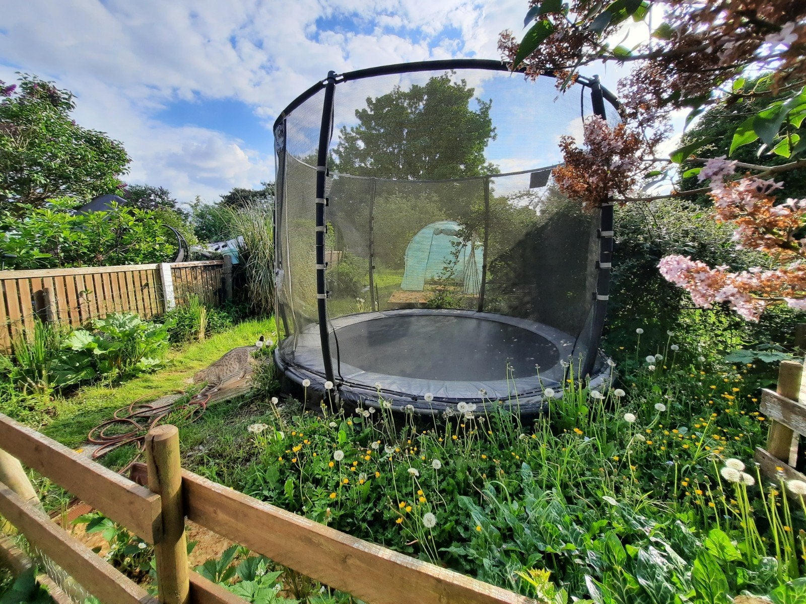 Trampoline haut de gamme de marque Exit, Enlèvement