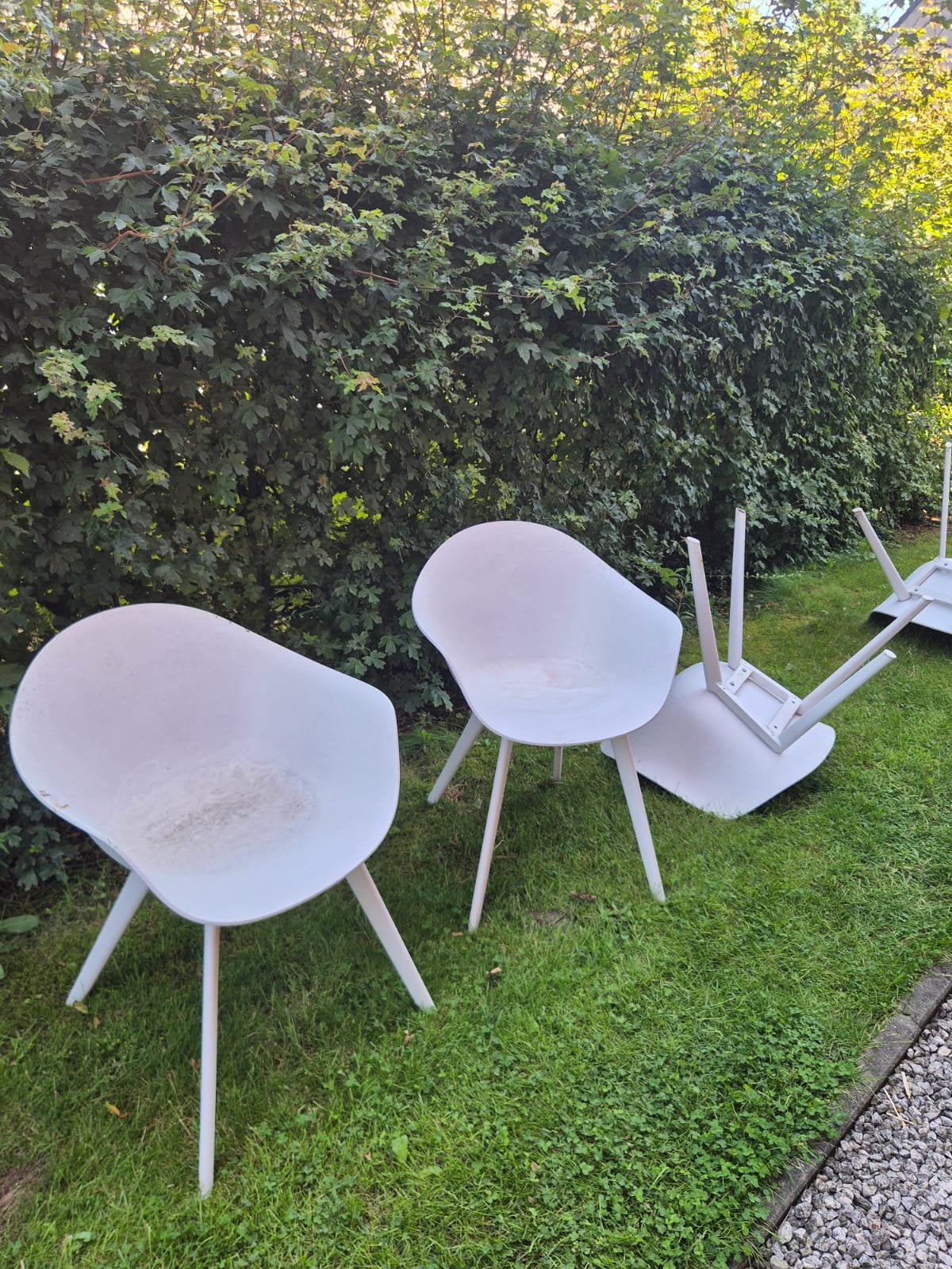 6 tuistoelen Bristol, Jardin & Terrasse, Chaises de jardin, Utilisé, Enlèvement