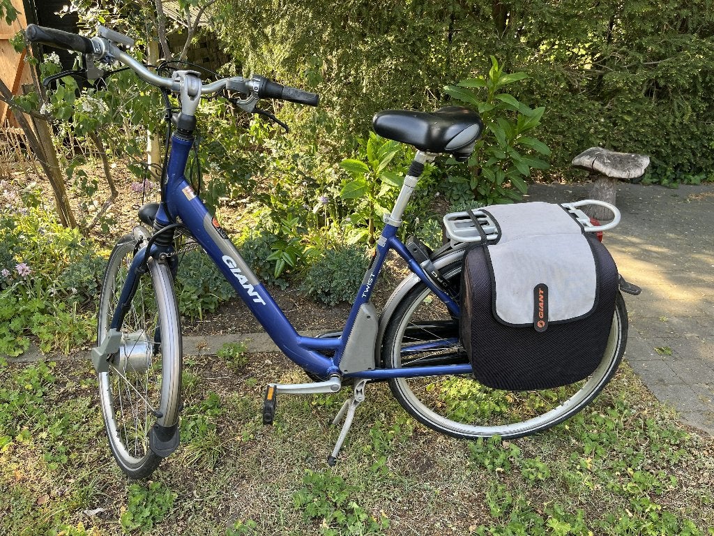 elektrische damesfiets, Ophalen, Gebruikt, Giant