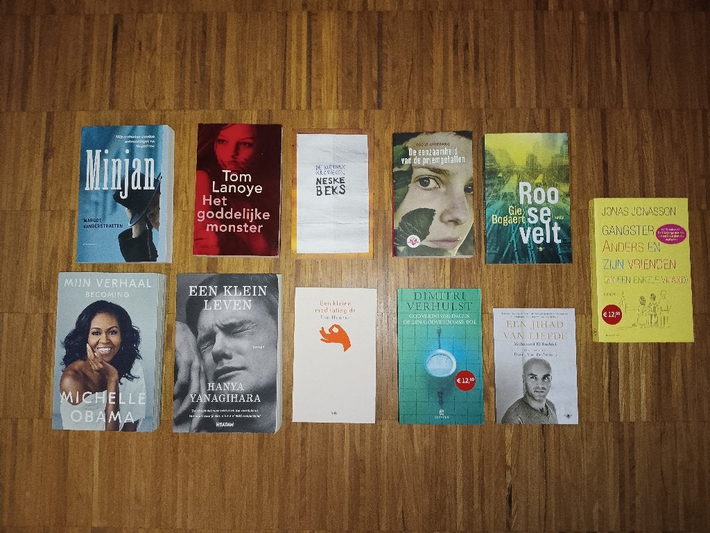 Set Nederlandstalige boeken, Boeken, Ophalen of Verzenden, Zo goed als nieuw