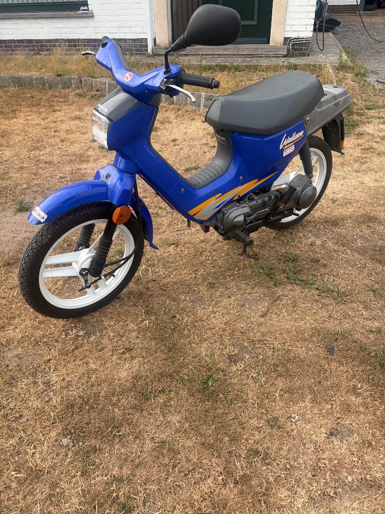 Honda wallaroo, Vélos & Vélomoteurs, Cyclomoteurs | Honda, Autres modèles, Classe A (25 km/h), Enlèvement