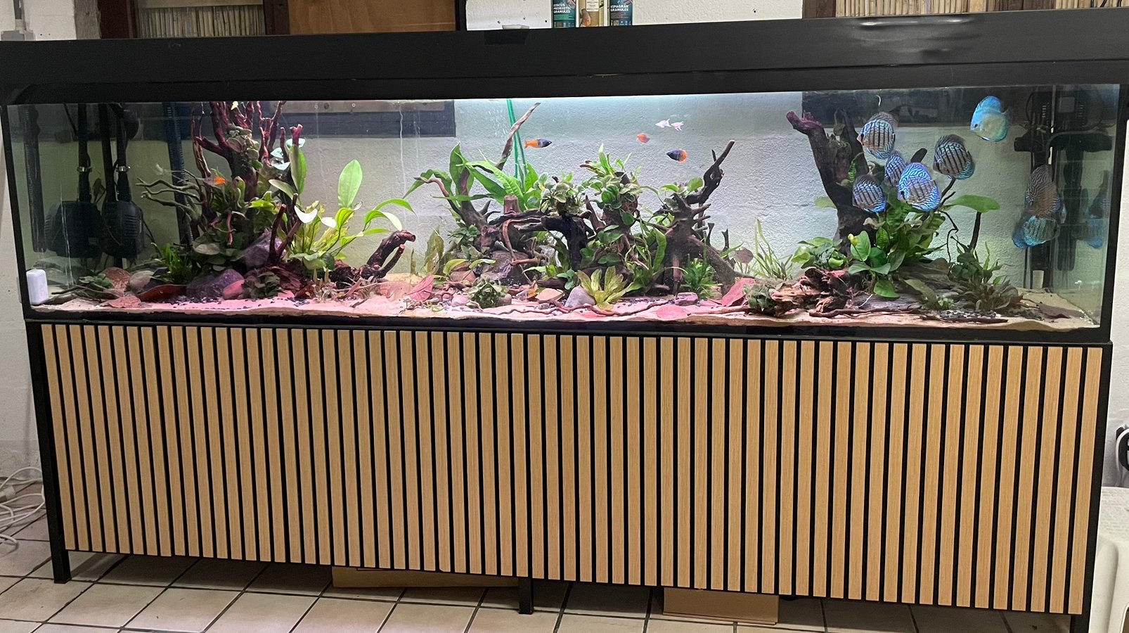 Groot aquarium 1000L plus toebehoren, Ophalen, Gebruikt, Leeg aquarium, Blue Marine