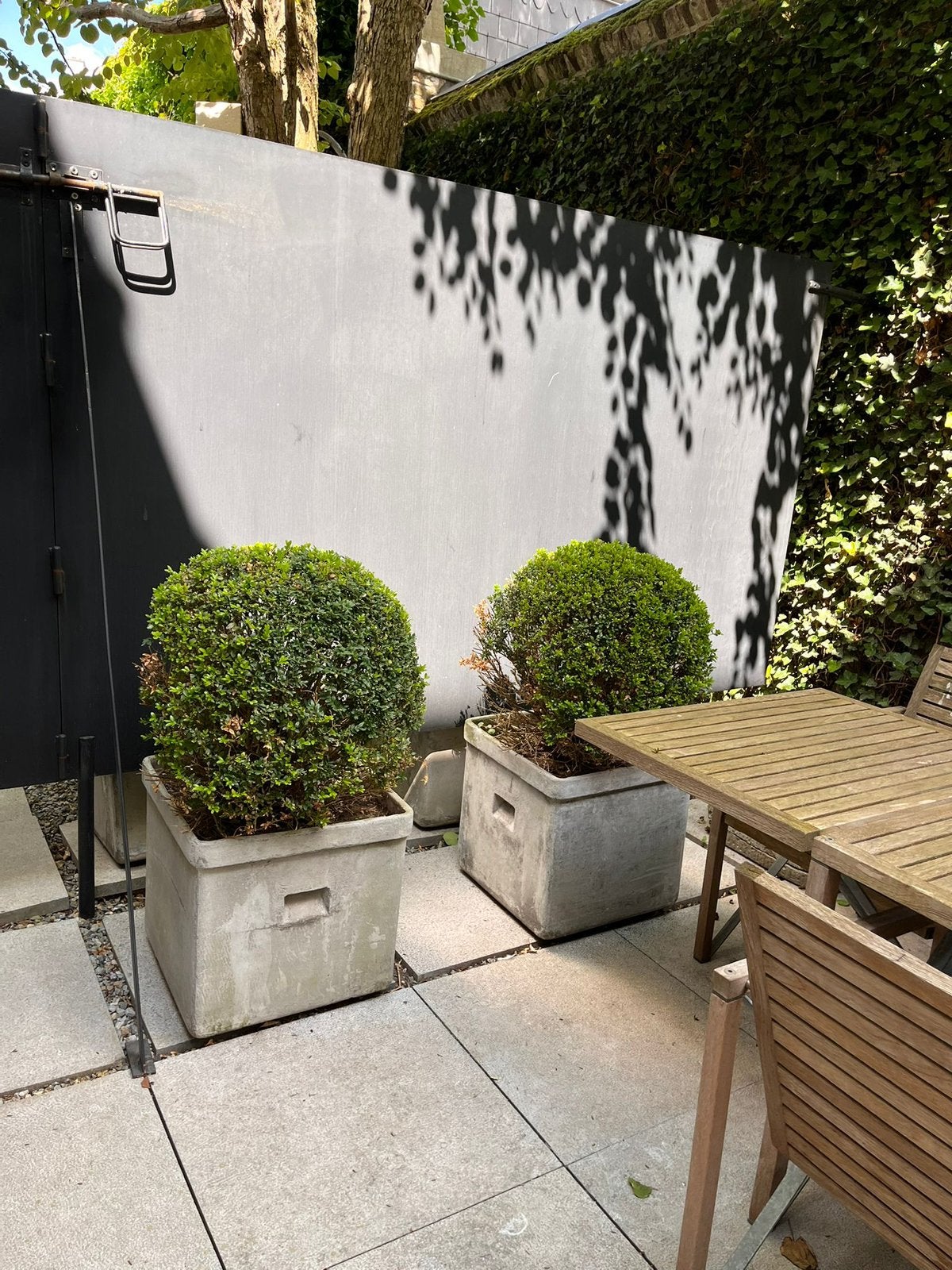 Plantenbakken incl buxus, Tuin en Terras, Ophalen, Gebruikt