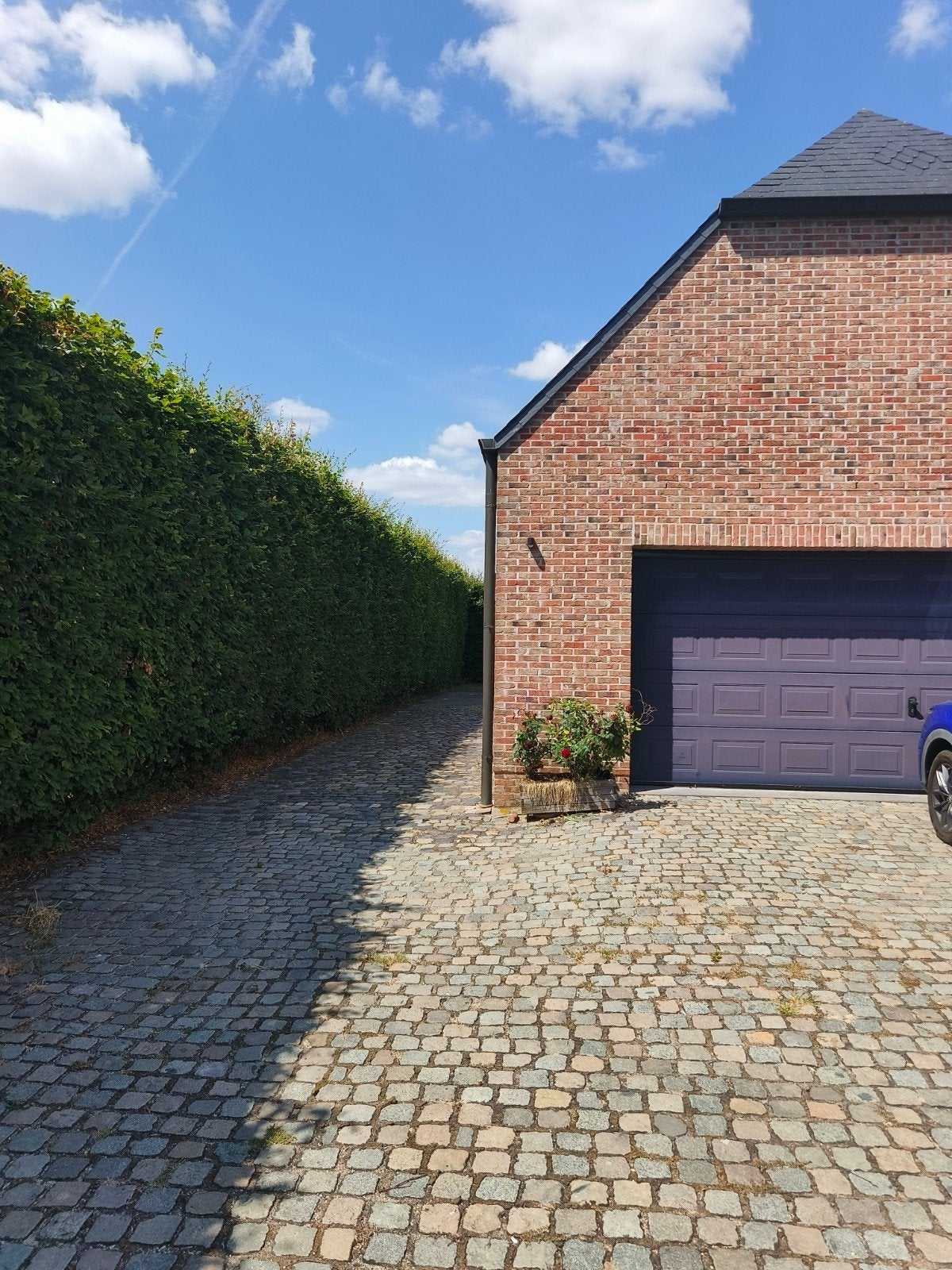 Landelijk gelegen appartement, 50 m² of meer, Provincie Antwerpen