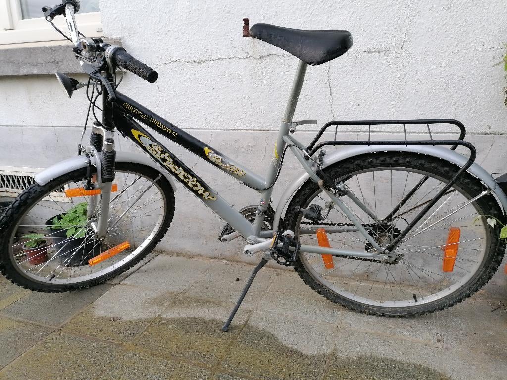 Velo dame, Enlèvement