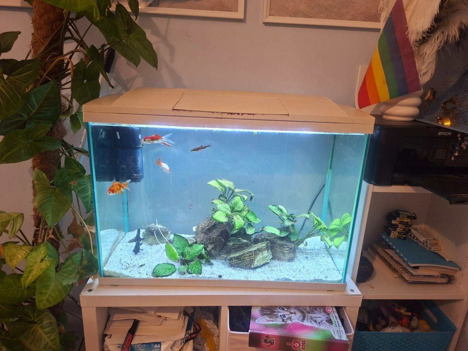 Aquarium superfish 100+inhoud, Ophalen, Filter