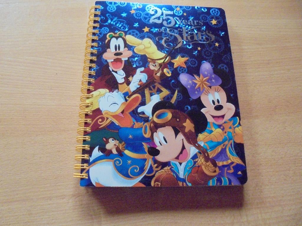 NIEUW Disneyland Paris 25 jaar Schriftje, Kinderen en Baby's, Speelgoed | Educatief en Creatief, Ophalen of Verzenden, Nieuw, Ontdekken