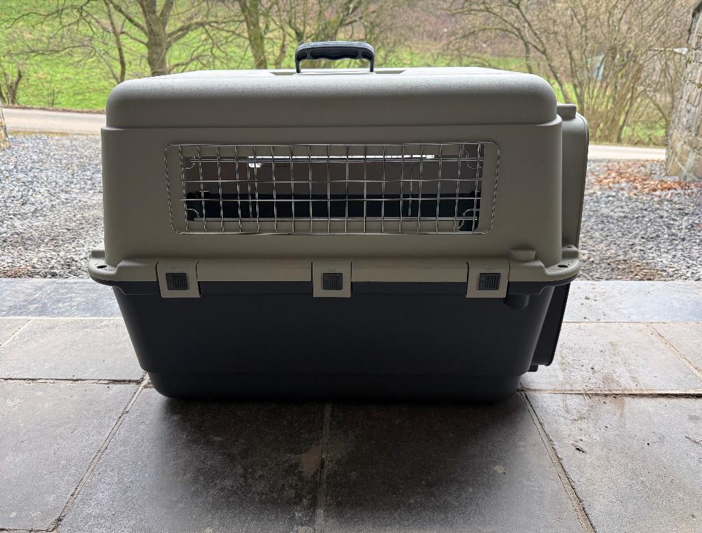 Coffre de transport pour chiens de taille moyenne, Animaux & Accessoires, Caisses pour chiens, Comme neuf, Enlèvement ou Envoi