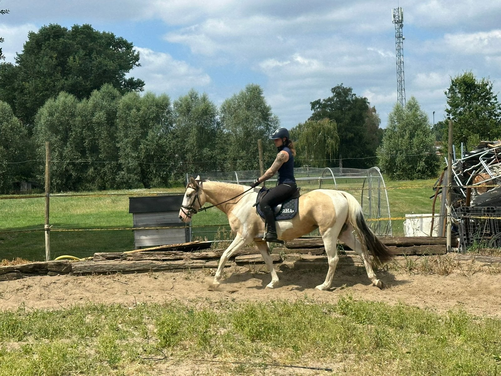 Zadelmak maken/doorrijden, Animaux & Accessoires, Chevaux, Débourré