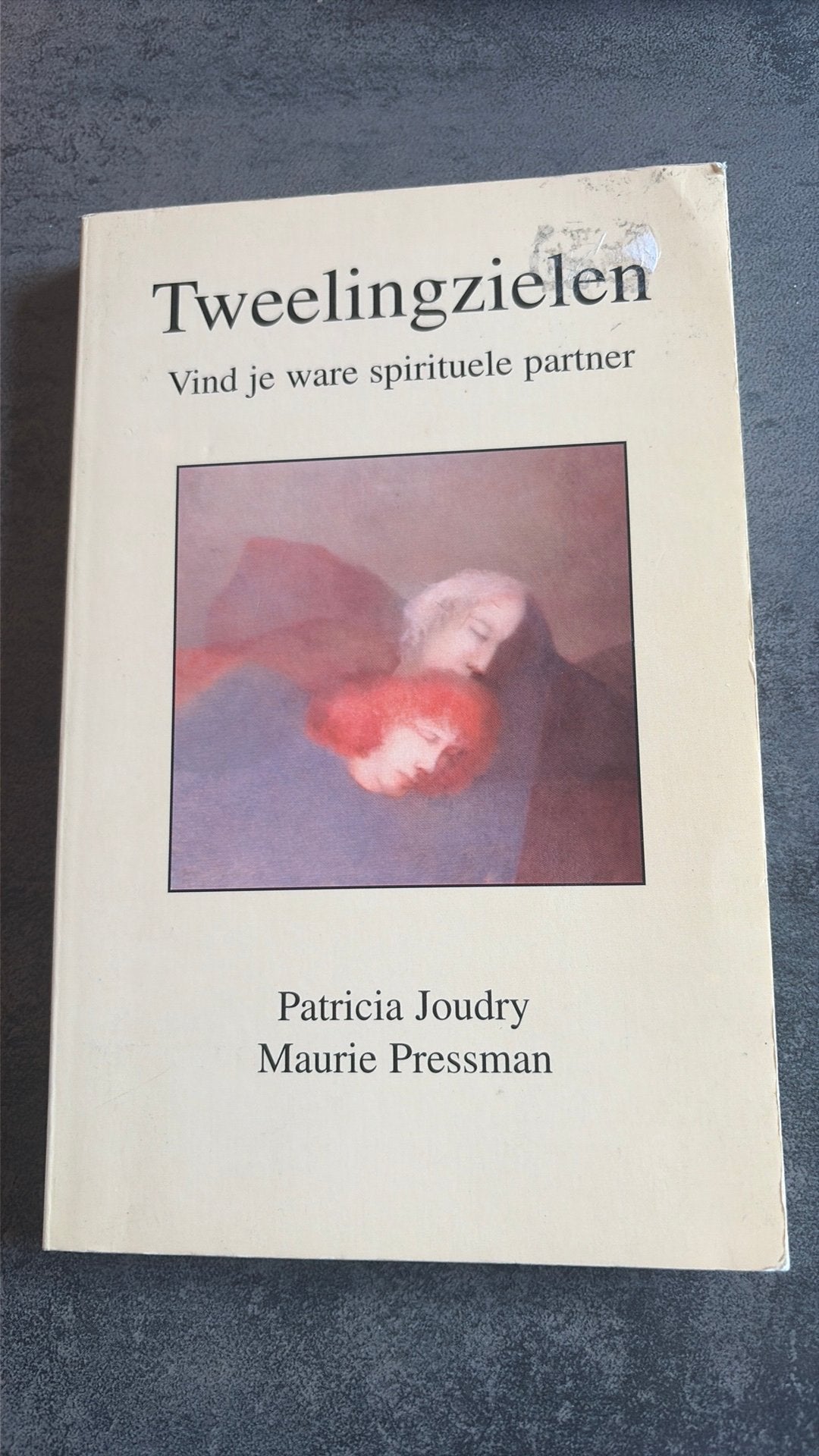 Patricia Joudry - Tweelingzielen, Boeken, Esoterie en Spiritualiteit, Ophalen of Verzenden, Patricia Joudry