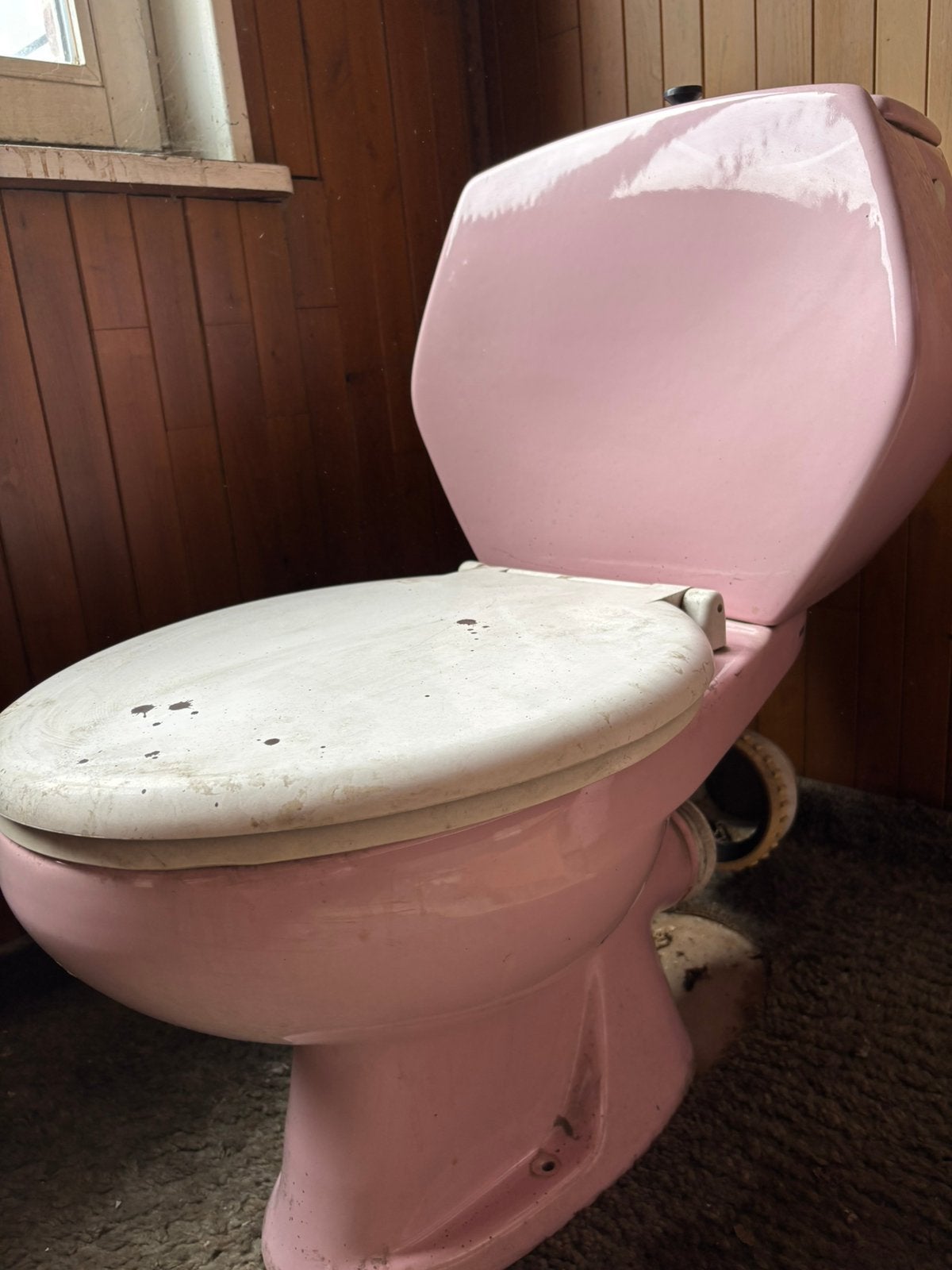 Retro roze Pozzi toilet – vintage, Ophalen, Gebruikt, Toilet