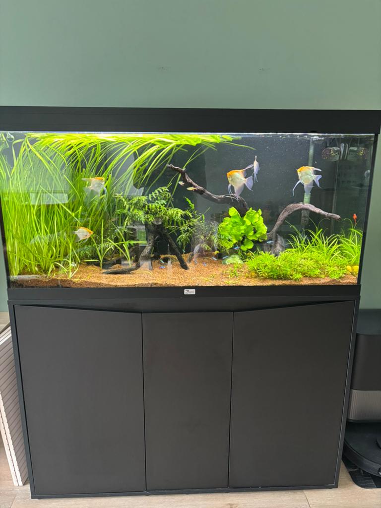 Aquarium aquatlantis, Dieren en Toebehoren, Ophalen, Aquatlantis, Inclusief vissen, Gevuld zoetwateraquarium