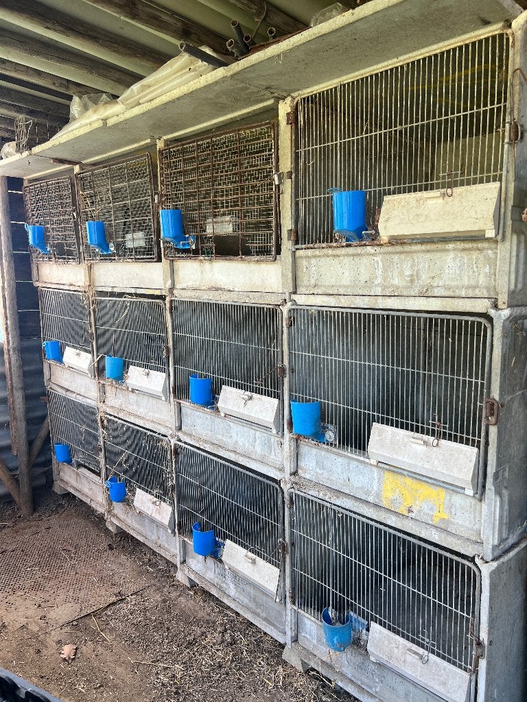 Cage à lapins, Enlèvement, Utilisé, Cage, Lapin
