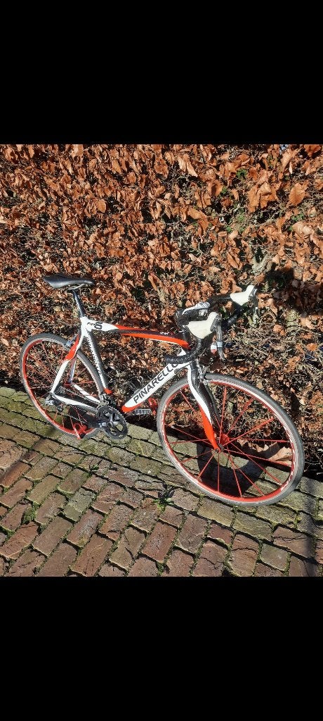 Pinarello fiets, Enlèvement, Utilisé, Hommes, Autres marques