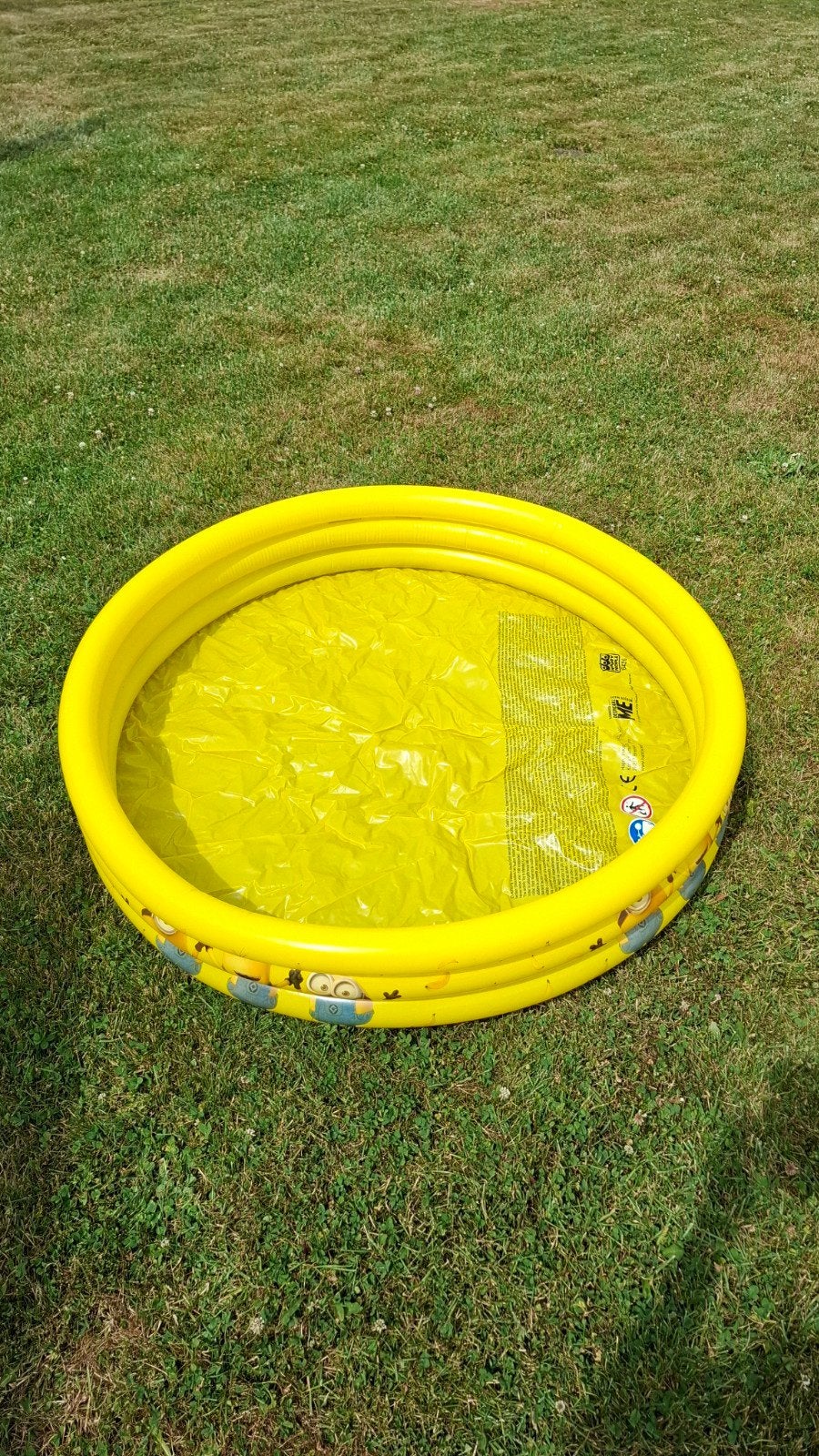 piscine petit mignon, Enlèvement