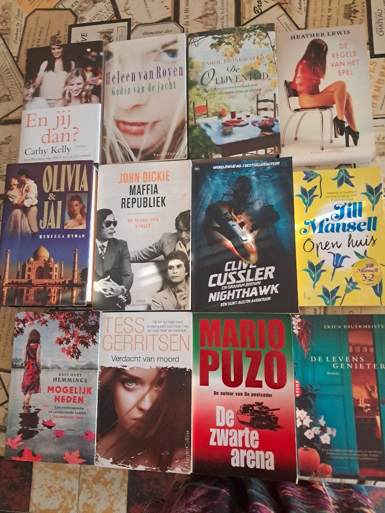 20 boeken - allerlei romans deel 3, Boeken, Ophalen, Gelezen