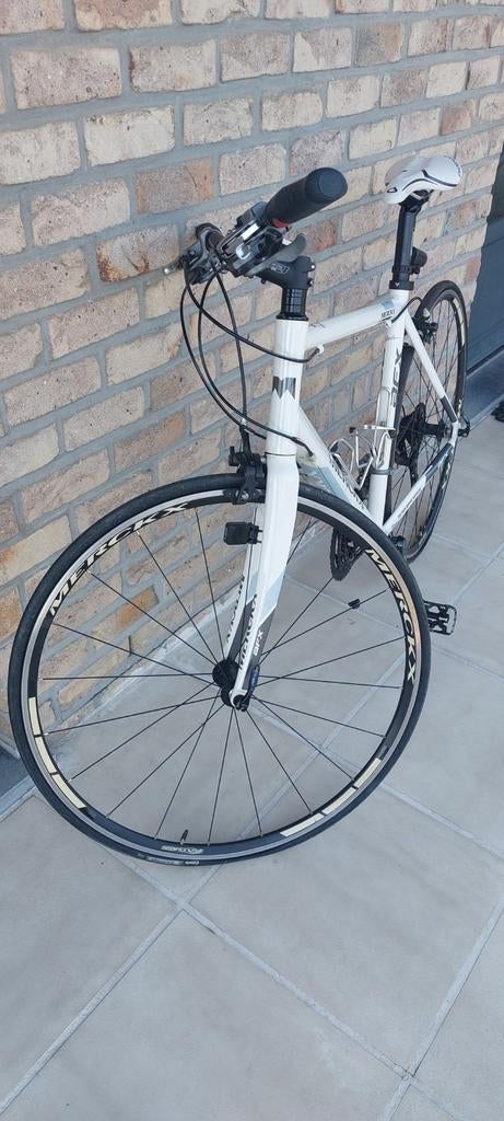 Dames (koers)fiets Merckx met klik/gewone pedalen, Fietsen en Brommers, Ophalen
