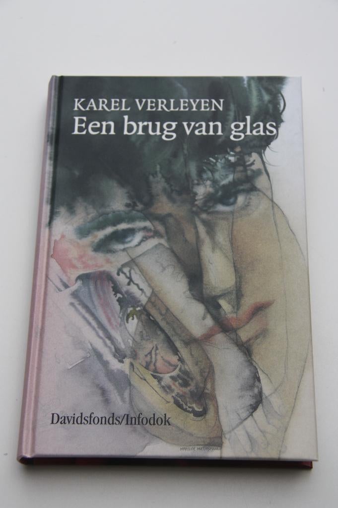 Een brug van glas * karel verleyen, Ophalen of Verzenden, Gelezen, Fictie