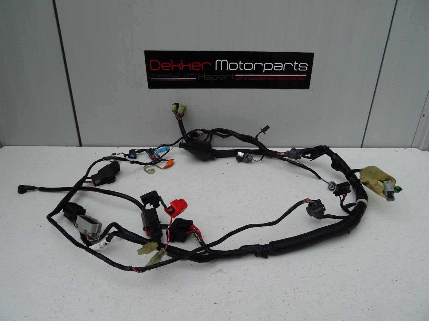 Kabelboom / Wire Harness Honda CBR600FI / CBR600F 2001-2002, Motoren, Gebruikt, -, -, Ophalen of Verzenden
