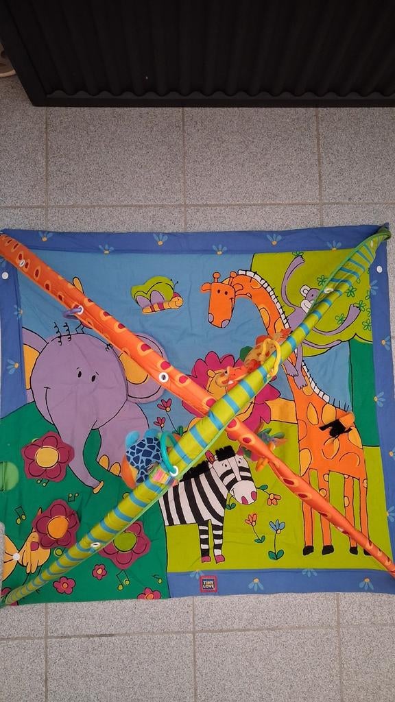 Tapis de jeu pour bébé Tiny Love., Enlèvement, Utilisé