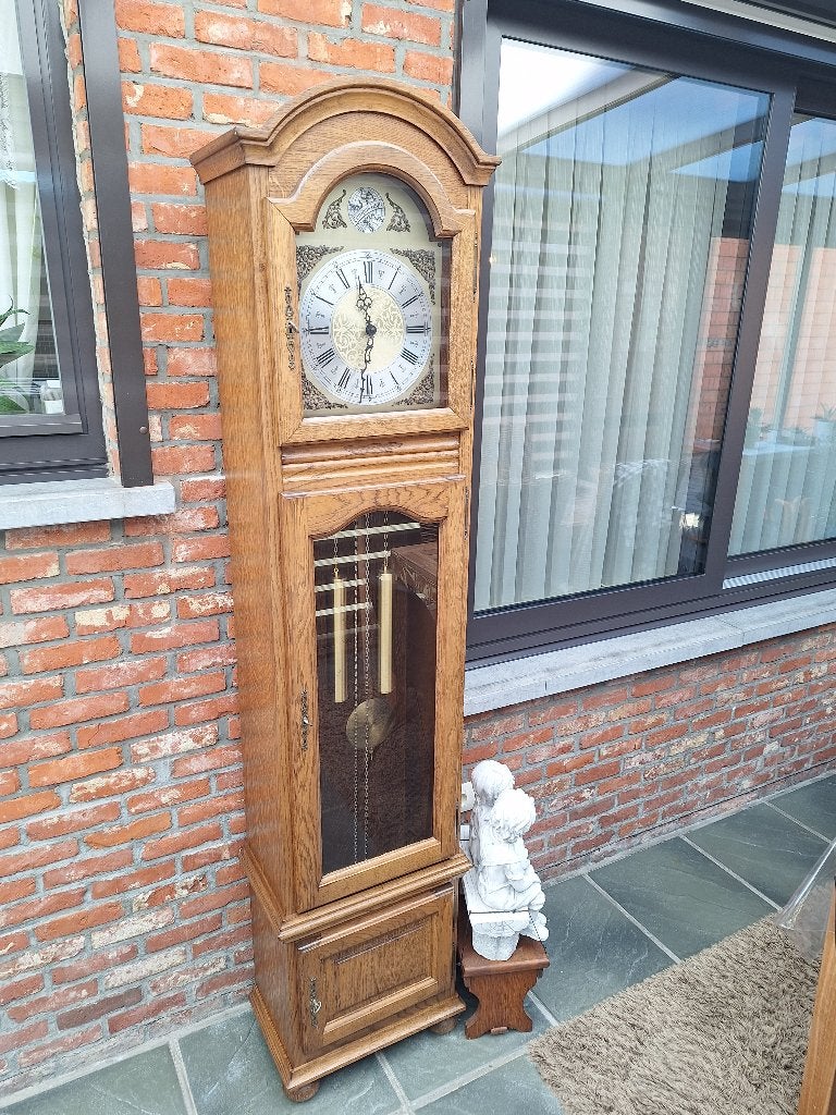 Staande Klok Tempus Fugit, Ophalen, Gebruikt, Met slinger, Analoog