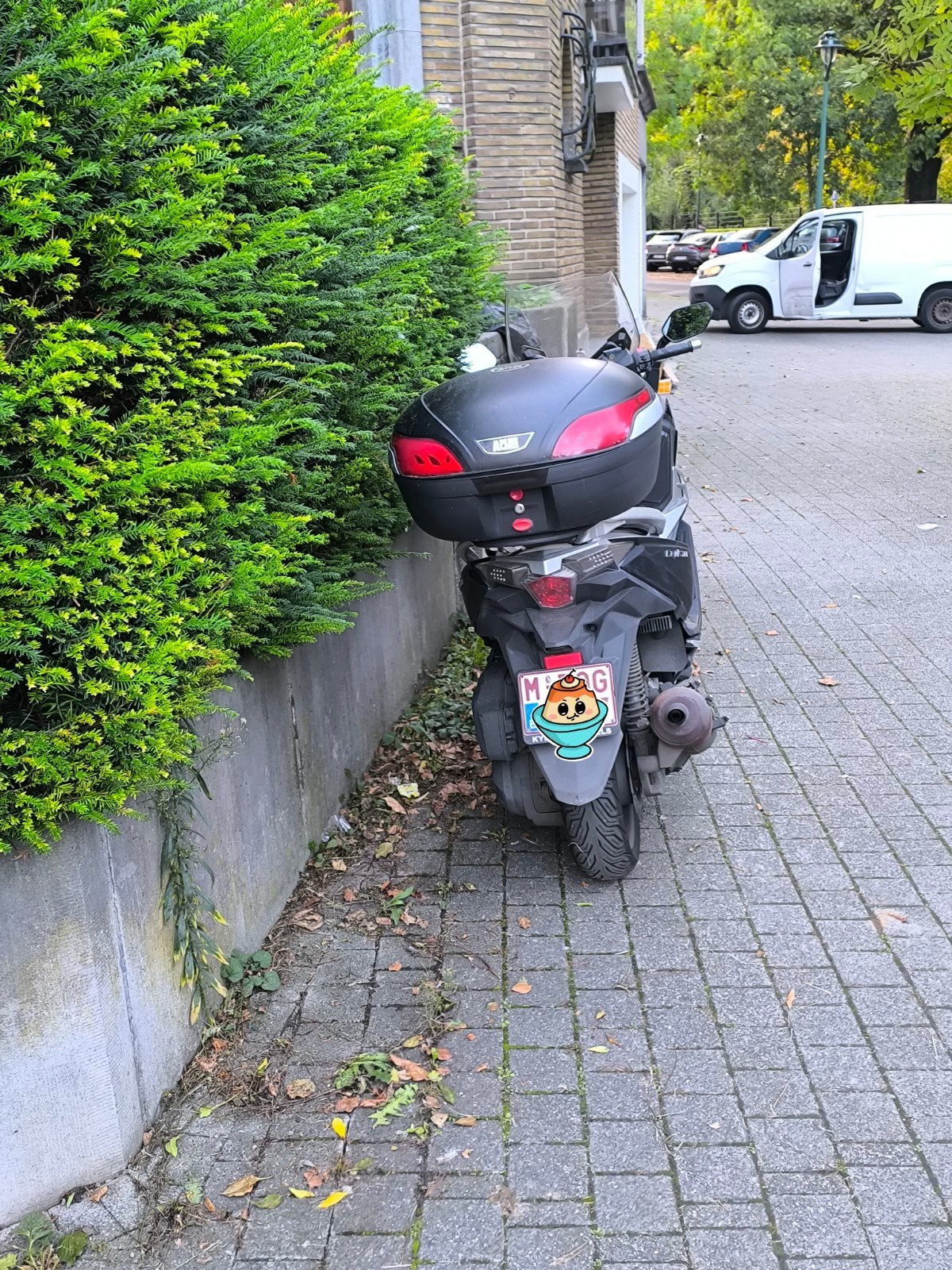 Sym cruisym 300, Enlèvement