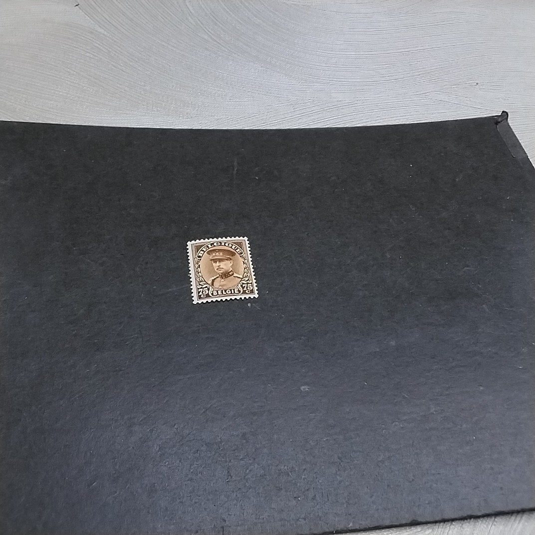 BELGIE 341 scharnier met cote 1,50 €, Ophalen of Verzenden