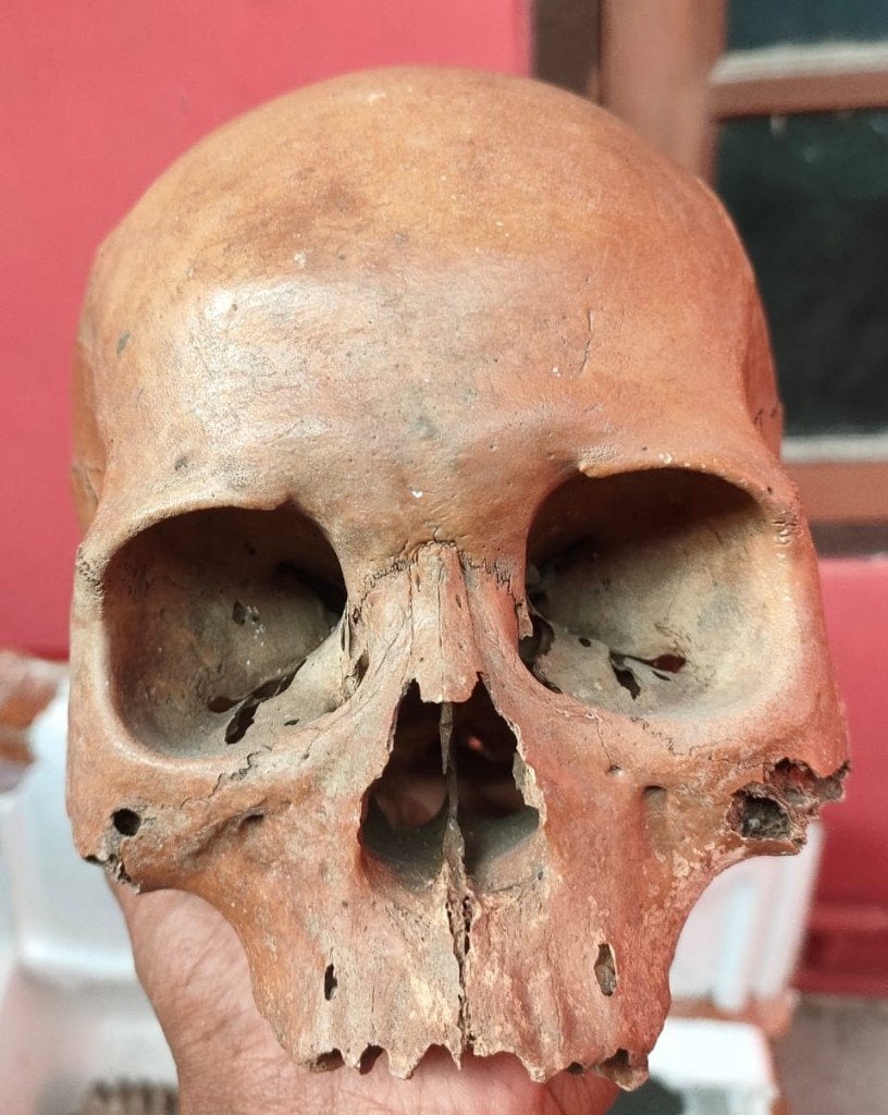 Homo sapiens, Enlèvement ou Envoi, Fossile